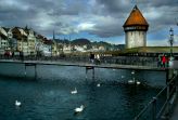 Lucerne